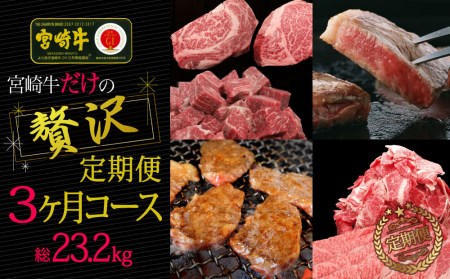 ブランド黒毛和牛[宮崎牛]贅沢肉定期便 3ヵ月コース 合計23.2kg ※一回目は90日以内に発送[G15]