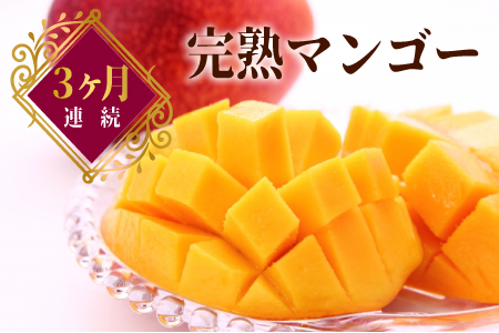 先行予約＜好き好き定期便＞3ヵ月お届け 完熟マンゴーコース【E113-24】