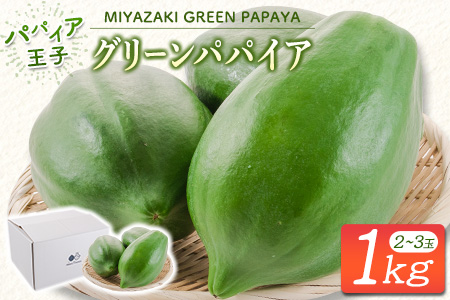 ppC 1kgZbg yf̉lEN\ ppCAqI {茧YyA334z