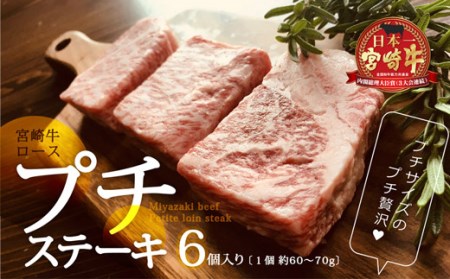 ＜宮崎牛＞ロースのプチステーキ 6個入り【C295-60】