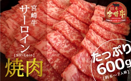 [宮崎牛]サーロイン焼肉600g ※90日以内出荷[E120]