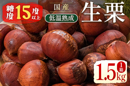 低温熟成栗（生栗） 1.5kg 糖度15度以上 国産【B504】のレビュー | ふるさと納税ランキングふるなび