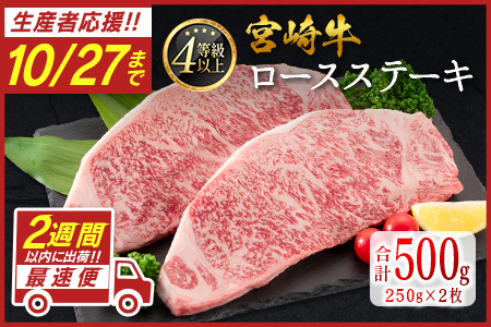 [10/27まで受付!!]宮崎牛 ロースステーキ 計500g(250g×2枚)最速便 2週間以内に出荷 肉質等級4等級 国産 人気 おすすめ[C346-S]