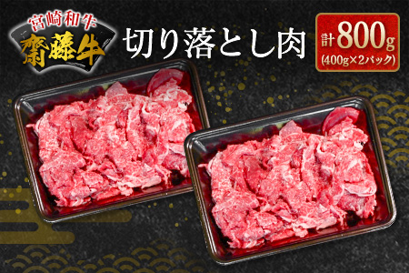 齋藤牛 切り落とし肉(400g×2P)計800g[B548]