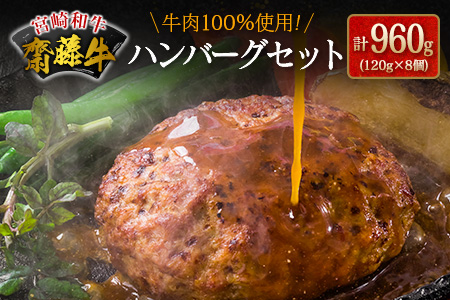 齋藤牛 ハンバーグセット（120g×8個）計960g【B549】