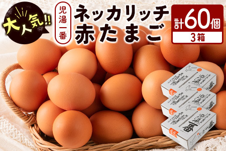 ＜児湯養鶏自慢の卵＞ネッカリッチ赤たまご「児湯一番」3箱60個【B23】