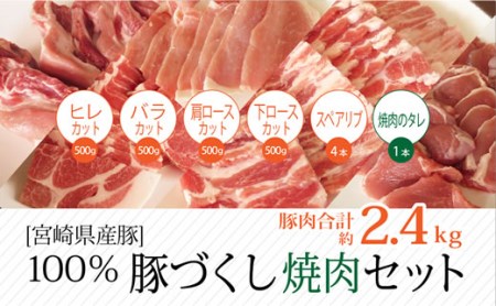 宮崎県産豚 焼肉セット 約2.4kg ※60日以内発送[B234]