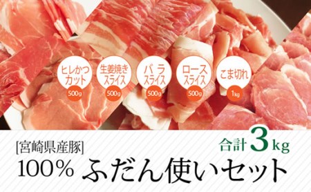 宮崎県産豚 普段使いセット 合計3kg ※60日以内に発送[B235]