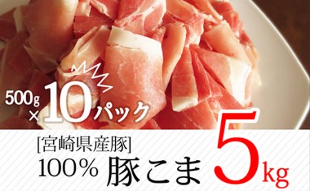 宮崎県産 豚こま肉 合計5kg（500g×10パック）【B236】