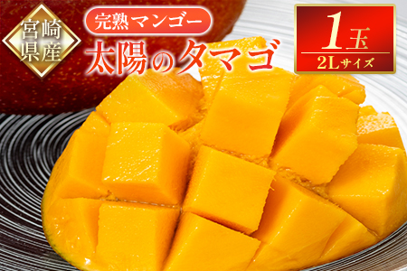 宮崎県産 完熟マンゴー『太陽のタマゴ』2Lサイズ1玉【B489】