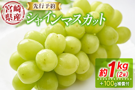 s\ VC}XJbg 2[ 1kg+100g⏞t {茧YyB606-25z