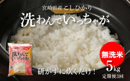 無洗米コシヒカリ 洗わんでいっちゃが5kg✕3回定期便 計15kg K23