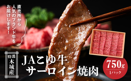 JAこゆ牛 特選木城産 サーロイン 750g 焼肉用_K56_0002