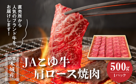 JAこゆ牛 特選木城産 肩ロース500g 焼肉用_K56_0004