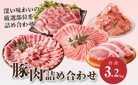 豚肉 詰め合わせ3.2kg K18_0040_4