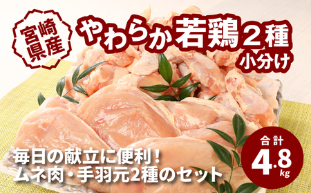 {茧Y 炩{2@@4.8kg@K16_0112