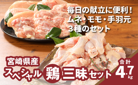 {茧Y 炩{2@@4.8kg@K16_0113