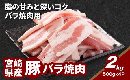 {茧Y؃oē 2kg K16_0187
