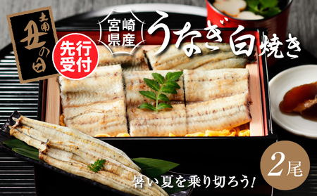 先行予約 2025年 丑の日[7月14〜18日お届け]宮崎県産 うなぎ 白焼き 2尾セット K10_0019_1