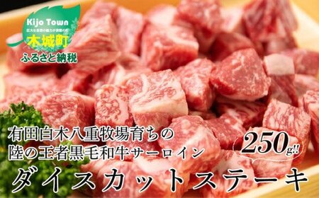 [木城ブランチ 有田白木八重牧場育ちの陸の王者黒毛和牛サーロインダイスカットステーキ 250g] K20_0019_1