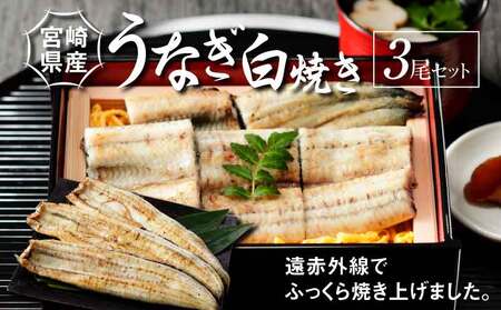 宮崎県産 うなぎ 白焼き 2尾セット K10_0006_3