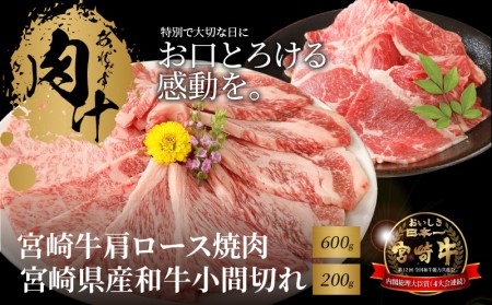 {苍 [Xē600 {茧YaԐ؂200  K18_0035_6