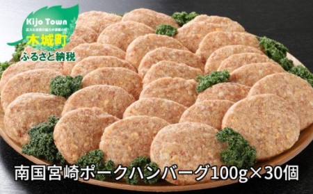 スピード発送!!7日〜10日営業日以内に発送★南国宮崎ポークハンバーグ100g×30個 K16_0023_2