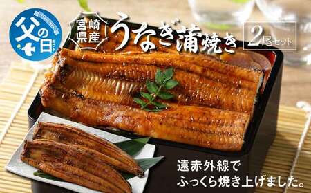 [父の日ギフト]『6月9日〜14日お届け』宮崎県産 うなぎ 蒲焼き 2尾セット K10_0020