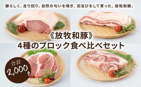 ≪放牧和豚≫4種のブロック食べ比べセット[合計2kg]K26_0042