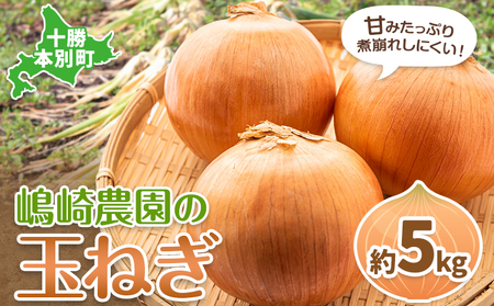 玉ねぎ たまねぎ 玉葱 約5kg サイズ混合[30営業日以内に順次出荷]嶋崎農園 玉ねぎ 道産玉ねぎ 北海道玉ねぎ 本別玉ねぎ