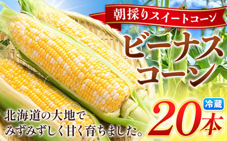 【先行予約】朝採り とうもろこし ビーナスコーン スイートコーン 20本 《2026年8月上旬-8月末頃出荷予定》山下農場 バイカラー 大粒 コーン トウモロコシ 送料無料 北海道 本別町北海道 十勝 本別町産 冷蔵便 甘い