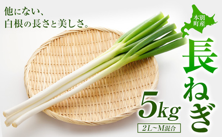 本別産 長ねぎ 5kg 2L〜M 混合 石上農場[11月上旬から12月下旬 順次出荷]北海道 本別町 送料無料 北海道 本別町 十勝 本別町産 ねぎ 長ネギ 野菜 5キロ