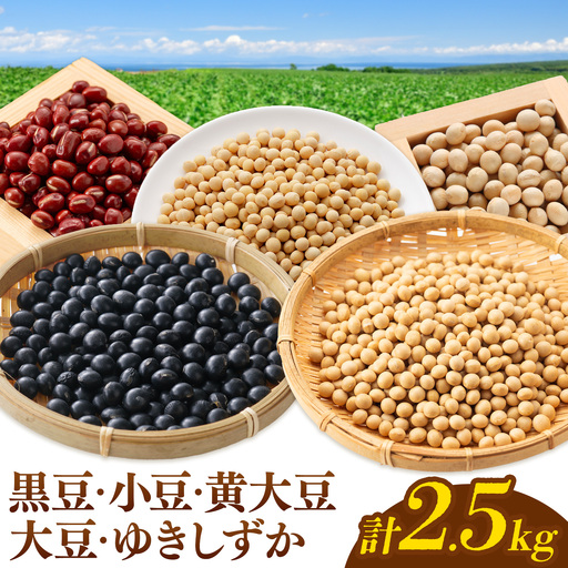 本別 豆 セット 各500g 5種類 2.5kg 特定非営利活動法人 銀河ほんべつ《30日以内に出荷予定(土日祝除く)》大豆 黒豆 小豆 ゆきしずか 黄大豆
