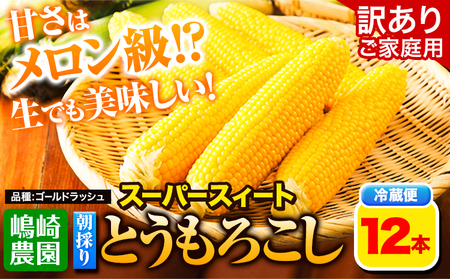 朝採りとうもろこし スーパースィート 「ゴールドラッシュ」 訳あり ご家庭用 12本 嶋崎農園 [8月上旬-8月末頃出荷]