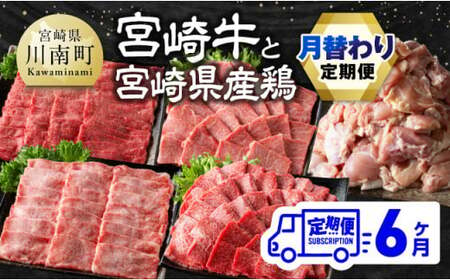 [6ヶ月定期便] 宮崎牛と宮崎県産鶏 月替わり便[肉 牛肉 鶏肉 国産 宮崎県産鶏肉 宮崎牛 牛肉 黒毛和牛 和牛 焼肉用 BBQ用 すき焼き用 しゃぶしゃぶ 焼きしゃぶ 肩ロース ウデ モモ 鶏肉もも カット済みモモ 定期便 E11129]