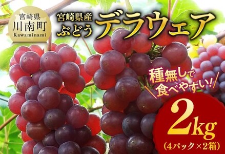 [令和7年発送]宮崎県産ぶどう デラウェア2kg[先行予約 フルーツ 先行受付 ブドウ 期間限定 葡萄 数量限定 九州産 宮崎県産 川南町産]