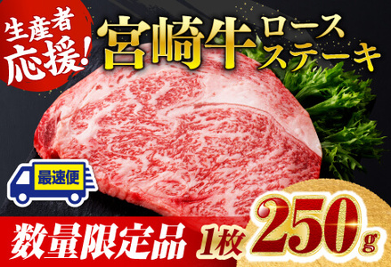 [数量限定]宮崎牛ロースステーキ 1枚 (250g) [ 肉 国産 牛肉 黒毛和牛 宮崎牛 ステーキ 牛肉 ]