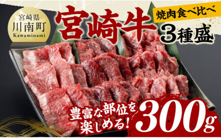 {苍 ē Hה 3퐷 300g y   Y {茧Y јa a ē o[xL[ z