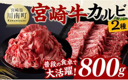 {苍JrēE؂藎ƂZbgv800 y   Y јa {苍 ē {茧 쒬 z