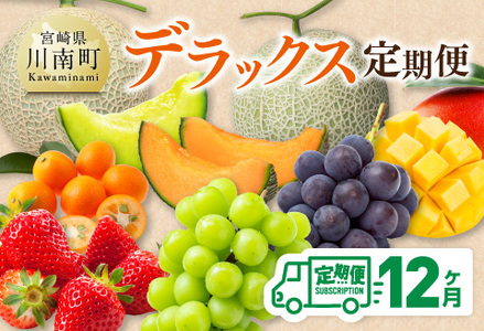 【 12ヶ月定期便 】 デラックス 定期便 【 川南町産 くだもの きんかん いちご 完熟 マンゴー ぶどう ピオーネ シャイン マスカット 大玉 メロン 】