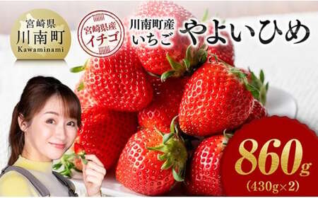 쒬Yu悢Ђ߁v860i430×2j y Ԍ ʕ C`S  悢Ђ t[c z