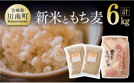 令和6年産 お米5kg(夏の笑み)ともち麦500g×2袋 [ 宮崎県産 米 こめ 精米 おにぎり 麦 穀物 ]