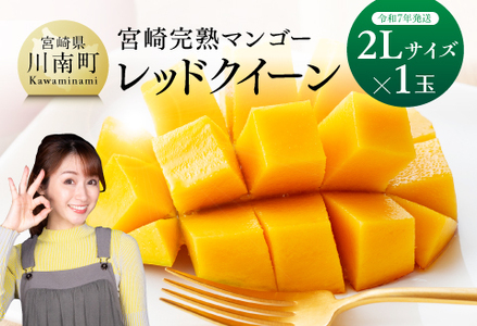 [令和7年発送]宮崎県産完熟マンゴー 「レッドクイーン」2L×1玉 [ 果物 フルーツ マンゴー 宮崎県産 完熟マンゴー みやざきマンゴー 先行予約 数量限定 期間限定 ]