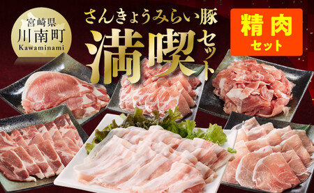 [令和6年11月発送][いろんな料理にアレンジできちゃう満喫コース](精肉)さんきょうみらい豚満喫セット[肉 豚 豚肉 国産豚肉 九州産 宮崎県産バラ 肩ロース ウデ モモ 焼肉 生姜焼き ポーク セット ぶたしゃぶ さんきょうみらい 大人気]