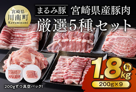 豚肉セット「まるみ豚」 宮崎県産 豚肉 厳選5種 セット 計1.8kg 豚肉セット 豚肉セット 豚肉セット 豚肉セット