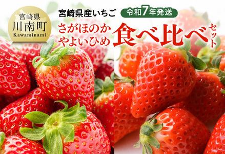 令和7年発送 宮崎県産いちご「さがほのか&やよいひめ」食べ比べセット [ 先行予約 期間限定 果物 イチゴ 苺 フルーツ ]