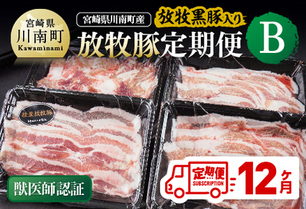 [12ヶ月定期便]宮崎県川南町産 放牧豚定期便B(放牧黒豚入り) [ 豚 肉 豚肉 黒豚 国産 九州産 宮崎県産 川南町 加工品 セット 送料無料 ]