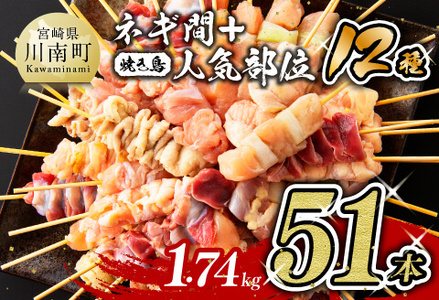 [令和7年3月発送分]焼き鳥 人気部位串セット&ネギ間串セット 計54本 [ 肉 鶏 鶏肉 国産 鶏肉 九州産 宮崎県産 若鶏 焼鳥 やきとり BBQ バーベキュー もも 砂肝 ロース ハラミ ササミ セセリ ムネ 焼き鳥 便利 簡単 送料無料 ]