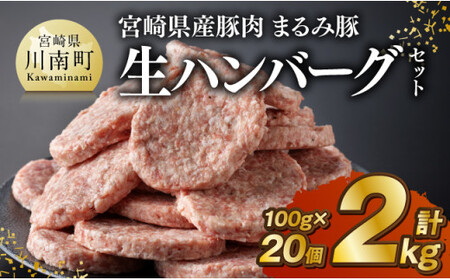 宮崎県産豚肉 「まるみ豚」 生ハンバーグセット計2kg(100g×20個) [ 肉 豚肉 国産 ハンバ―グ 弁当 おかず お手軽 真空パック 九州産 宮崎県産 川南町産 送料無料 ]
