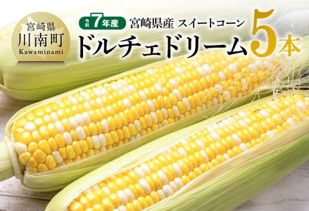 【令和7年産】宮崎県産とうもろこし　スィートコーン「ドルチェドリーム」5本 【 とうもろこし スイートコーン コーン 野菜 】